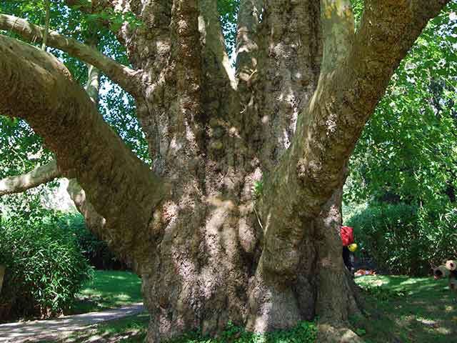 Un savoir-faire (En Bout De Branche)